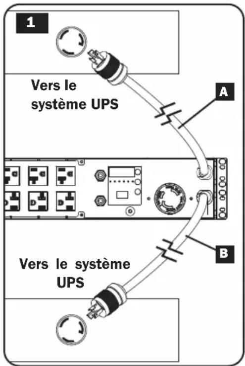 Tripp Lite PDUMH32HVAT - Brancher les fiches d'entrée de la PDU : - 1