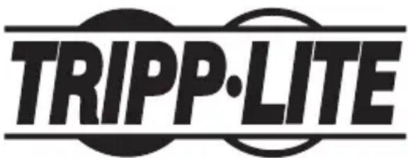 Tripp Lite NPOESPLG5VMU - Información de cumplimiento con WEEE para clientes y recicladores de Tripp Lite (Unión Europea) - 2