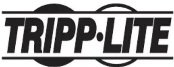 Tripp Lite NPOESPLG5VMU - Micro USB, 48 V à 5 V 1 A - 1