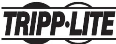 Tripp Lite CSC32ACWHG - Renselignements sur la conformite à la directive DEEE pour les clients de Tripp Lite et les recycleurs (Union européenne) - 2