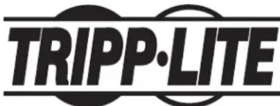 Tripp Lite CSC32ACWHG - Información de Cumpilmente con WEEE para Clientes y Recicladores de Trlpp Lite (Unión Europea) - 2