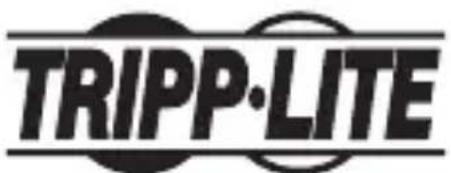 Tripp Lite U209005DB25 - Información de Cumplimiento con WEEE para los Clientes y Recicladores de Tripp Lite (Unión Europea) - 2