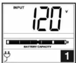 Tripp Lite SmartPro SMC10002URM - Display Power Conditions - 1