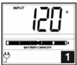 Tripp Lite SmartPro SMC10002URM - Affichage des conditions de puissance - 1