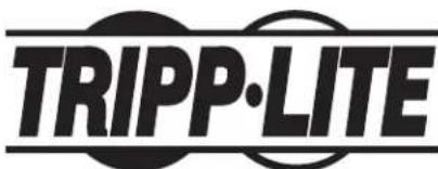 Tripp Lite CSC16ACW - L'Information de conformité WEEE pour les clients de Tripp Lite et recycleurs (Union europeenne) - 1