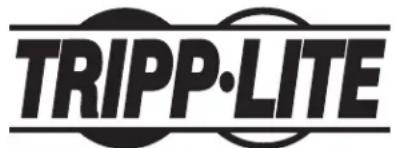 Tripp Lite CSC16ACW - Información de sobre Cumplimiento de la WEEE para Clientes de Tripp Lite y Recicladores (Unión Europea) - 2