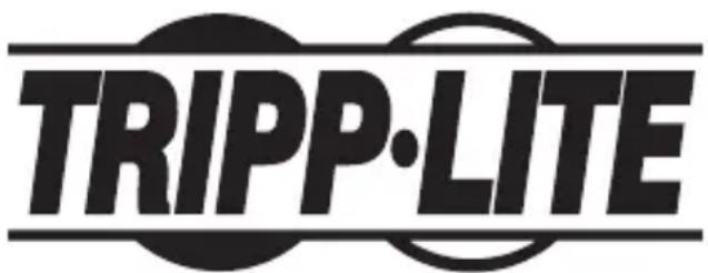 Tripp Lite U442DOCK20B - Rensseignements sur la conformité à la directive DEEE pour les clients de Tripp Lite et les recycleurs (Union europeenne) - 2