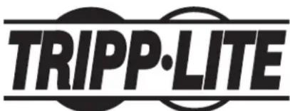 Tripp Lite CSC32USBWHG - Renseignements sur la conformité à la directive DEEE pour les clients de Tripp Lite et les recycleurs (Union européenne) - 2