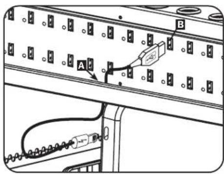 Tripp Lite CSC32USBWHG - Connecting Devices to the USB Charger/Hub - 1