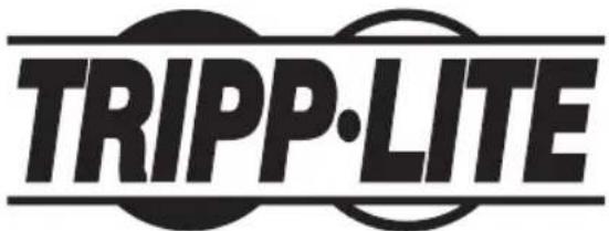 Tripp Lite WorkWise WWSSDT - 1