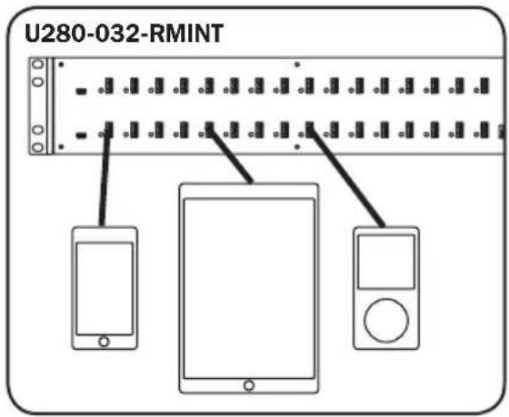 Tripp Lite U280032RMINT - Connector un ordinateur - 1