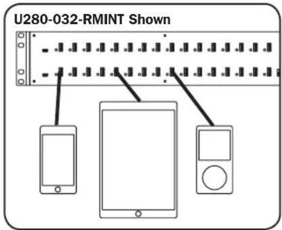 Tripp Lite U280032RMINT - Connecting Devices - 1