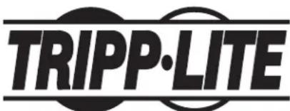 Tripp Lite CSD32USB - WEEE Compliance Information for Tripp Lite Customers and Recyclers (European Union) - 2