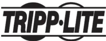 Tripp Lite CS16USBWHG - Información de Cumplimiento con WEEE para Clientes y Recicladores de Tripp Lite (Unión Europea) - 2