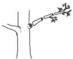 HUSQVARNA 120iTK4P - To cut branches - 3