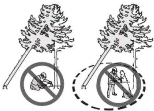 HUSQVARNA 592 XP G - Pour dégager un arbre coincé - 2