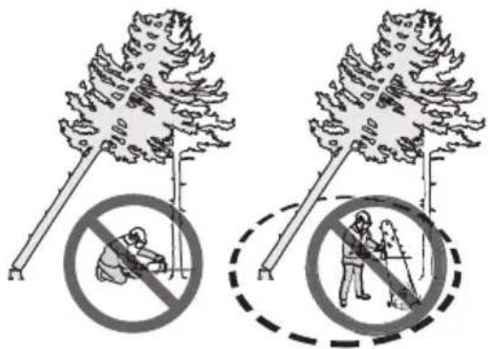 HUSQVARNA 592 XP G - Para liberar un árbol atascado - 2