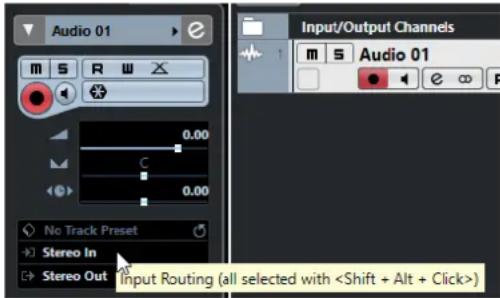 STEINBERG Cubase Elements 10.5 - PROCEDARANSI - 1
