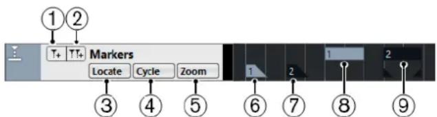 STEINBERG Cubase Elements 10.5 - Piste Marqueur - 1