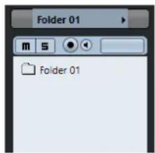 STEINBERG Cubase Elements 10.5 - Inspecteur des pistes Répertoire - 1