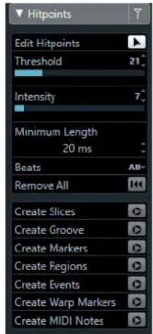STEINBERG Cubase Elements 10.5 - PROCEDARANSI - 1