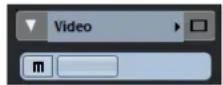 STEINBERG Cubase Elements 10.5 - Inspecteur des pistes Video - 1