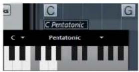 STEINBERG Cubase Elements 10.5 - PROCEDARINSI - 2