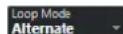 STEINBERG Cubase Elements 10.5 - Mode Boucle - 1