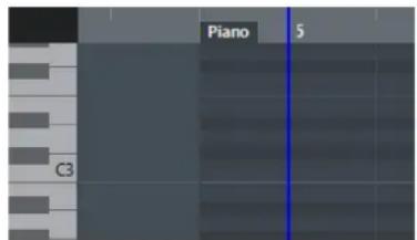 STEINBERG Cubase Elements 10.5 - PROCEDARANSI - 1