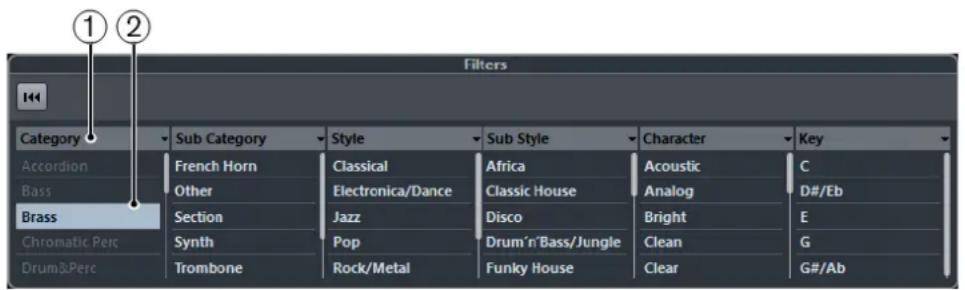 STEINBERG Cubase Elements 10.5 - Filtred'attributes - 1