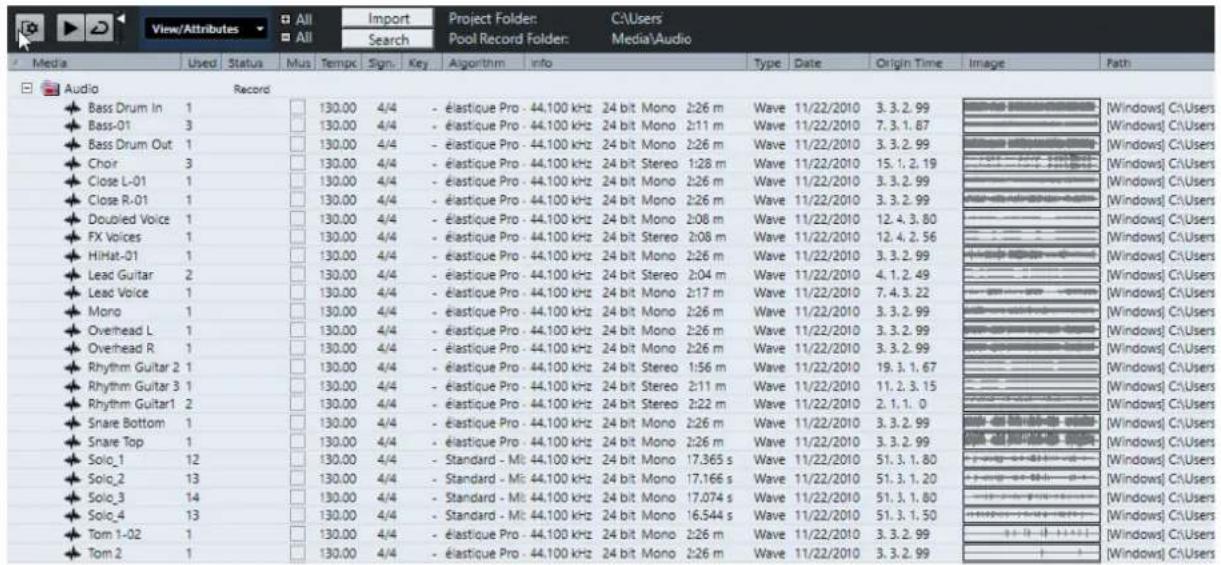 STEINBERG Cubase Elements 10.5 - Fenêtre Bibliothèque - 1