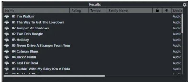STEINBERG Cubase Elements 10.5 - Section Résultats - 1