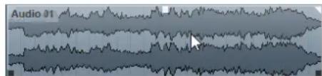 STEINBERG Cubase Elements 10.5 - PROCEDARANSI - 1