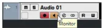 STEINBERG Cubase Elements 10.5 - PROCEDARANSI - 1