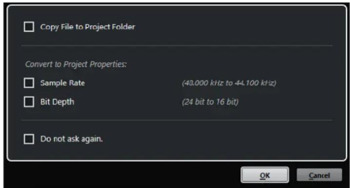 STEINBERG Cubase Elements 10.5 - Boîte de dialogue Options d'import pour les fichiers audio - 1