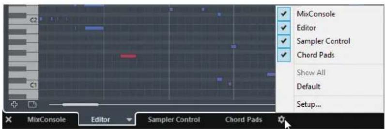 STEINBERG Cubase Elements 10.5 - PROCEDARANSI - 1