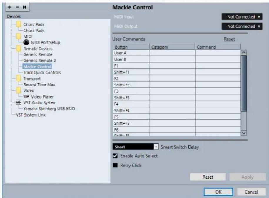STEINBERG Cubase Elements 10.5 - A NOTER - 1