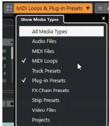 STEINBERG Cubase Elements 10.5 - PROCEDAR AINSI - 1