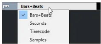 STEINBERG Cubase Elements 10.5 - Commandes de la piste Règle - 1