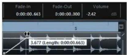 STEINBERG Cubase Elements 10.5 - A NOTER - 1