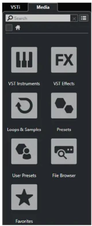 STEINBERG Cubase Elements 10.5 - PROCEDARINSI - 1