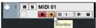 STEINBERG Cubase Elements 10.5 - PROCEDARANSI - 1