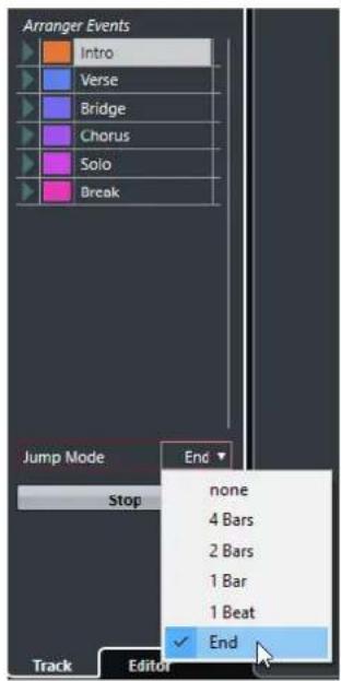 STEINBERG Cubase Elements 10.5 - Options du mode Jump - 1