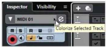 STEINBERG Cubase Elements 10.5 - PROCEDARINSI - 1