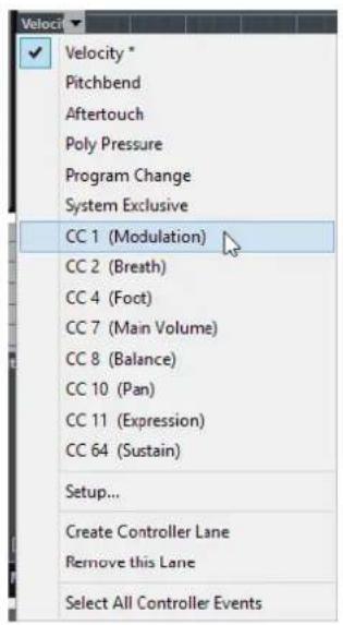 STEINBERG Cubase Elements 10.5 - PROCEDARANSI - 1