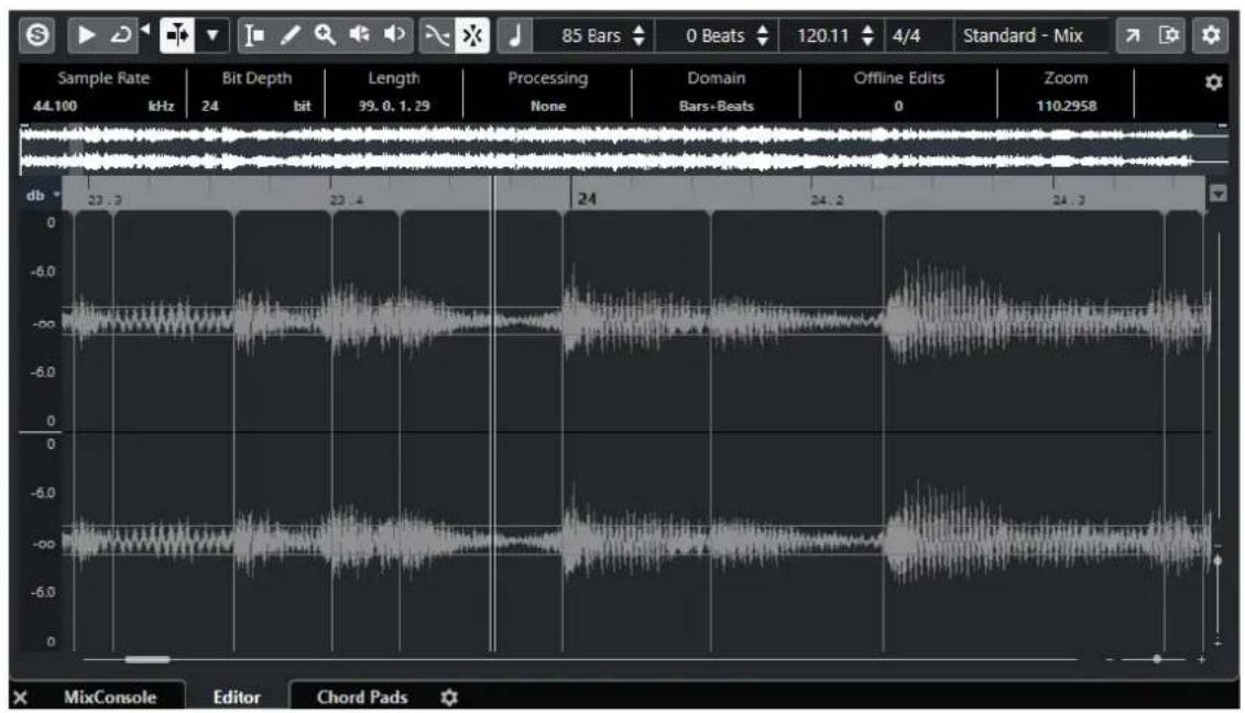 STEINBERG Cubase Elements 10.5 - PROCEDARINSI - 1