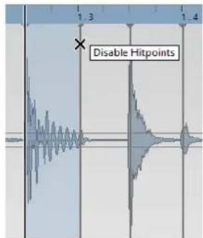 STEINBERG Cubase Elements 10.5 - PROCEDARANSI - 3