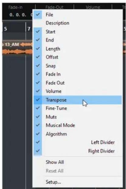 STEINBERG Cubase Elements 10.5 - Menu contexts de configuration - 1