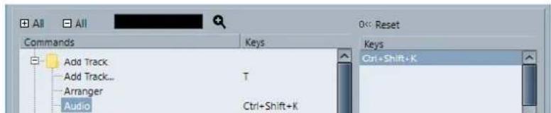 STEINBERG Cubase Elements 10.5 - PROCEDARANSI - 1