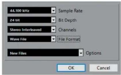 STEINBERG Cubase Elements 10.5 - Boîte de dialogue Options de conversion - 1